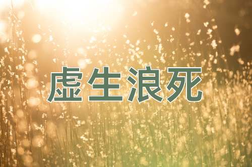 成语虚生浪死